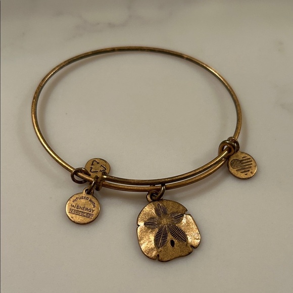 Alex and Ani Jewelry - alex and ani Gold Charm Bangle Bracelet